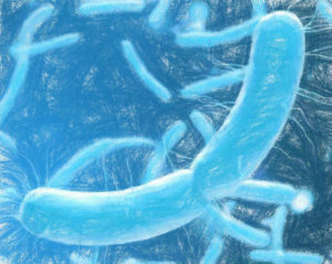 遺伝情報を再設計した人工生物