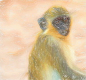 サルはドローンの脅威を直ちに学習する