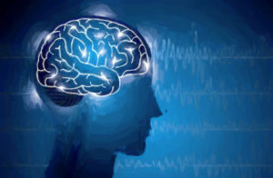 脳波から会話を復元することに成功