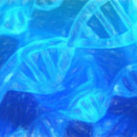 2倍の情報量を持つ「8文字DNA」の作成