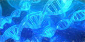 2倍の情報量を持つ「8文字DNA」の作成