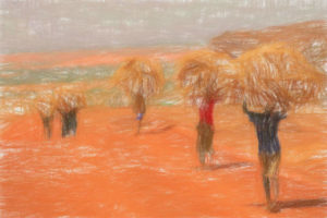 マラリア予防: 病原体を運ぶハマダラカを退治する効率的な方法