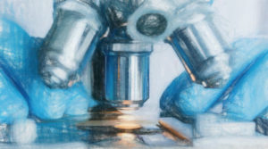 核の微細構造を研究するための共焦点反射干渉顕微鏡が開発される