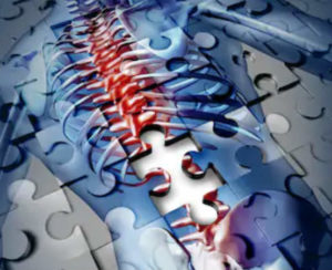 脊髄損傷でも歩ける時代への一歩【脳波を読み取るスーツの開発】