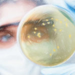 逆遺伝学で未知の微生物の培養条件を探し出す