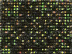 ChIP-on-chipアッセイのデータ解析 【公共データを活用する】