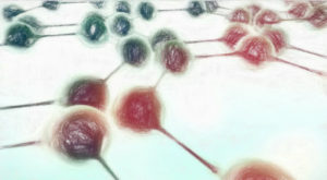 タンパク質の代表的なデータベース7つ【まずはここから】