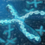 【高校生物の物語】染色体分配と交叉の多様性【なぜ兄弟姉妹で違うのか】