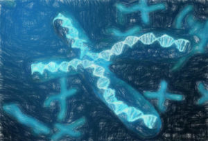 【高校生物の物語】染色体分配と交叉の多様性【なぜ兄弟姉妹で違うのか】