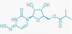 新型コロナウイルスCOVID-19の世界初の飲み薬候補 【EIDD-2801の治験開始】