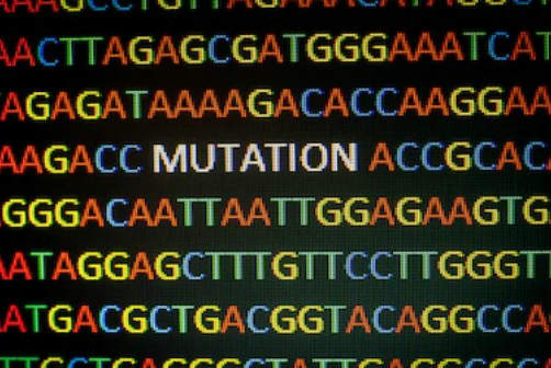 がんゲノムのデータベースと解析ツール 【コマンド不要】