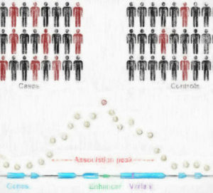 GWASデータの探し方 【遺伝子型と表現型の関係を解き明かす】