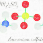 硫安分画によるタンパク粗分画 【アセトン沈殿、TCA沈殿も】
