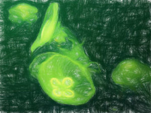 GFPとその他の蛍光タンパク質 【ウナギ由来のものも】