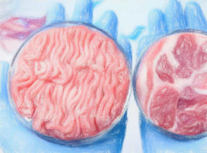 培養肉の作り方と課題 【ベンチャー企業も紹介】