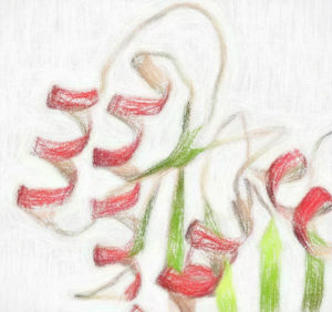 SWISS-MODELの使い方 【タンパクホモロジーモデリング入門】