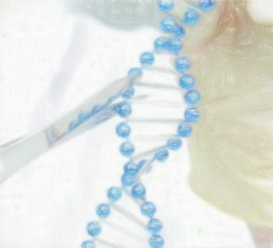 ヌクレアーゼの種類と基質 【分子生物学研究で使う】