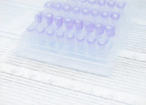 迅速アルカリミニプレップ法の原理とプロトコル 【フェノール不要】