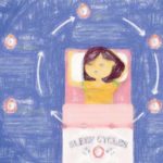 睡眠サイクルから学ぶ理想の睡眠時間 【お役立ちアイテムも】