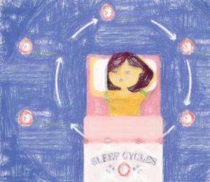 睡眠サイクルから学ぶ理想の睡眠時間 【お役立ちアイテムも】