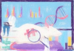 遺伝子改変マウス作製の歴史 【2007年ノーベル医学賞解説】