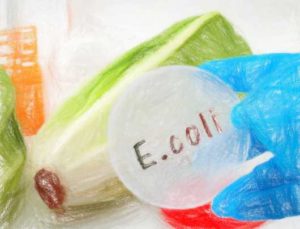 大腸菌の遺伝子型 【意味と読み方の例】