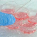 哺乳類細胞へのトランスフェクション法5種類 【原理の概要】