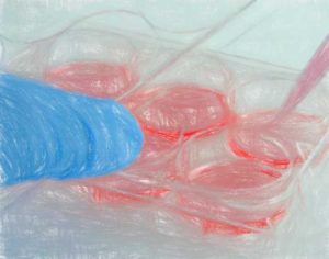 哺乳類細胞へのトランスフェクション法5種類 【原理の概要】