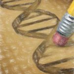 遺伝子組換え実験の物理的封じ込めと大臣確認実験 【P1, P2, P3の意味】