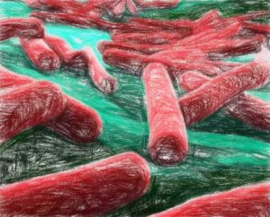 大腸菌の大きさと重さ 【サイズと増殖スピードは関係する】