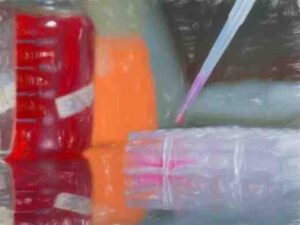 工場としてのHEK293細胞【293Tやfreestyle等も】