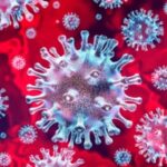 SARS-CoV-2の分類法【変異株の命名ルール解説】