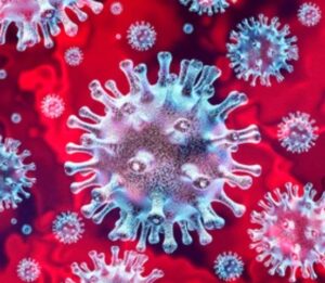 SARS-CoV-2の分類法【変異株の命名ルール解説】