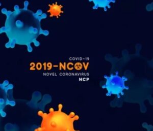 次世代シークエンサーでコロナを解読する【手順概説】