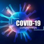 コロナ研究に使われるデータベースやツール【情報科学が支える】