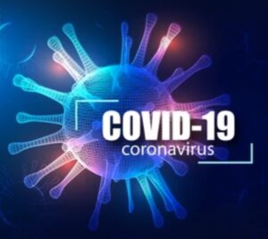 コロナ研究に使われるデータベースやツール【情報科学が支える】