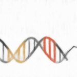 DNA-encoded chemical libraryの将来展望 【核酸・機械学習】