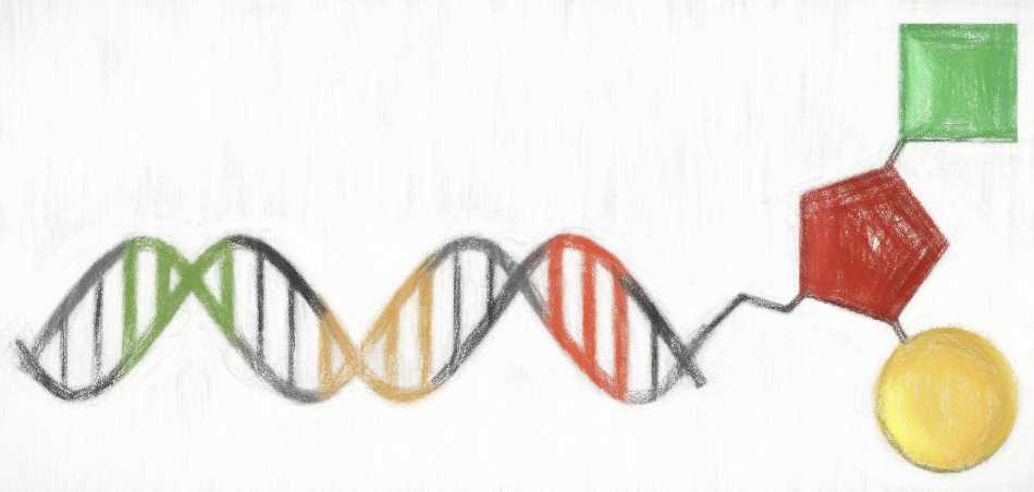 ヒット化合物同定を加速するDNA-encoded chemical library